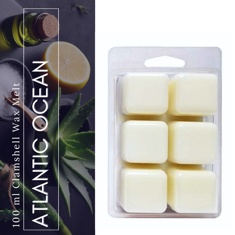 Atlantic Ocean Wax Melt (100g)